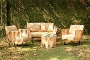 Collection Synthetic Rattan Paula Living Set